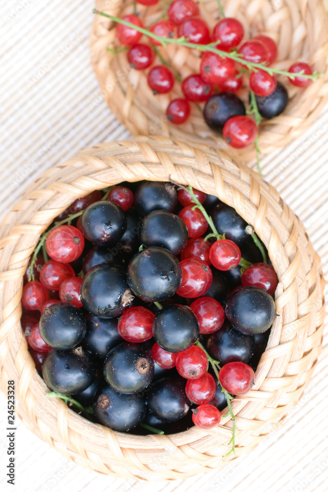 Black and red currant in a basket Black and red currant in a basket