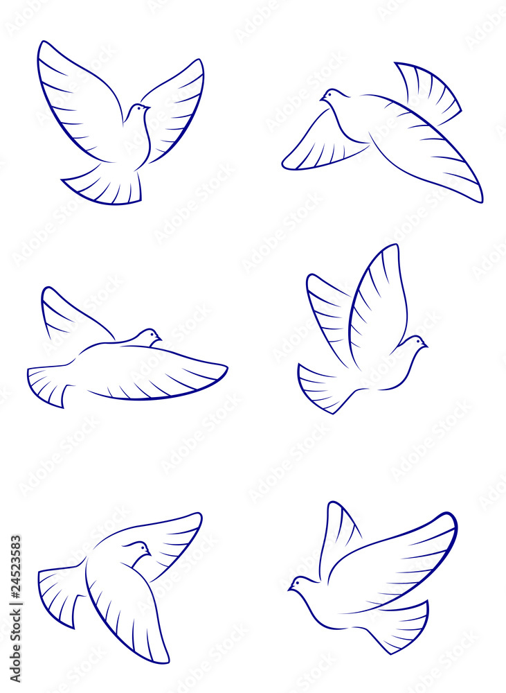 Fototapeta premium White doves