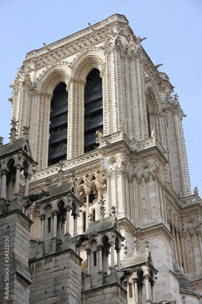 detail of Notre dame tower in paris