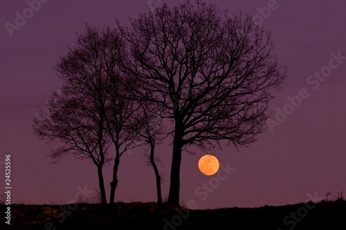 luna al tramonto photo