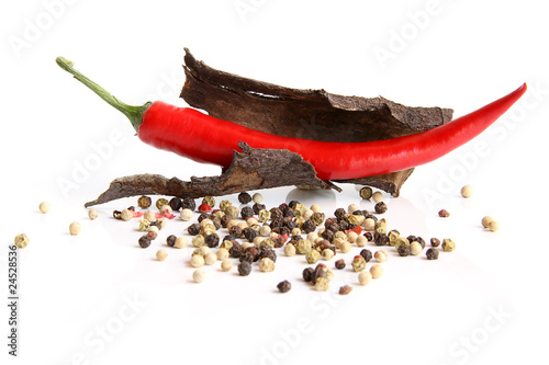 Chili mit Pfeffer10