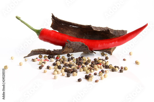 Chili mit Pfeffer9
