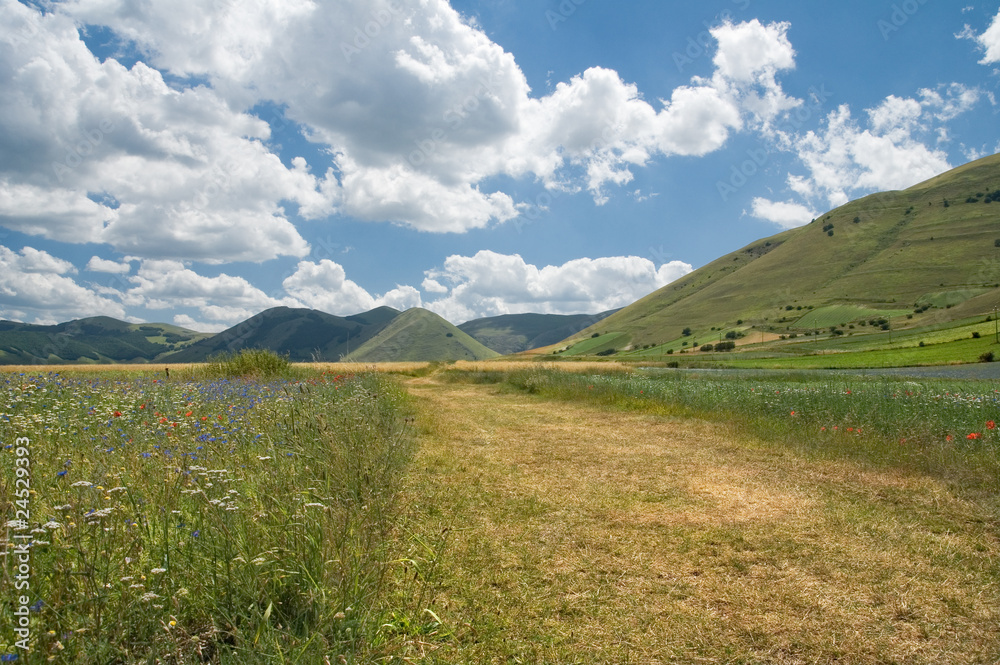 Obraz premium Castelluccio di Norcia - Valnerina - Umbria