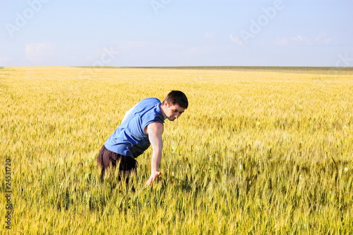 The guy in a wheaten field