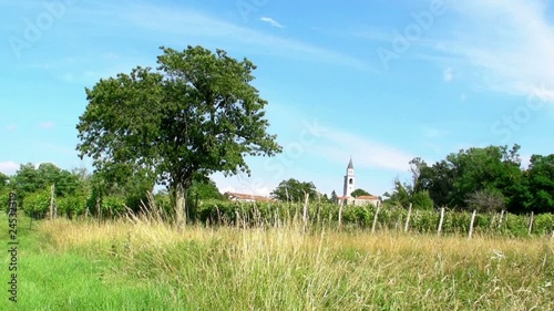 Tree, field and church