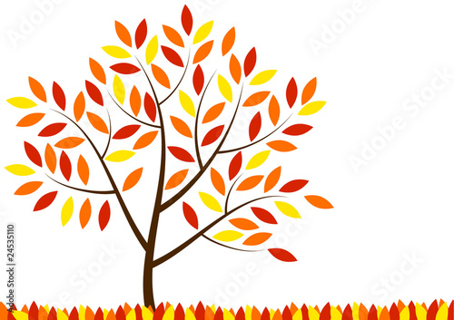 Colored autumn tree