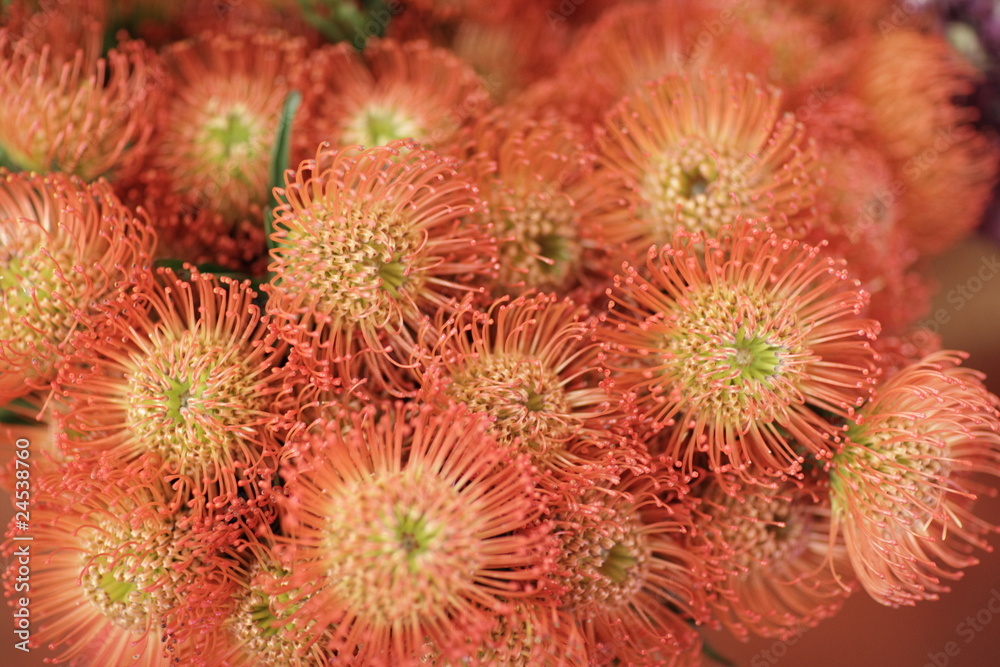 Orange flowers in a bouquet