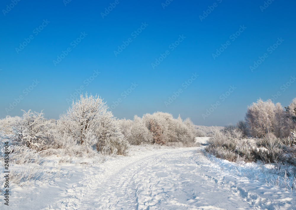 wild winter scenery