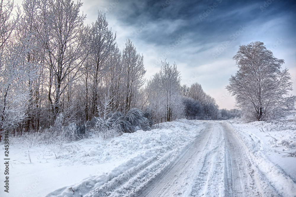 Obraz premium winter road