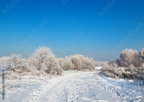 wild winter scenery © kmit
