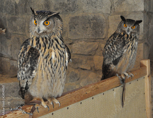 Grand Duc