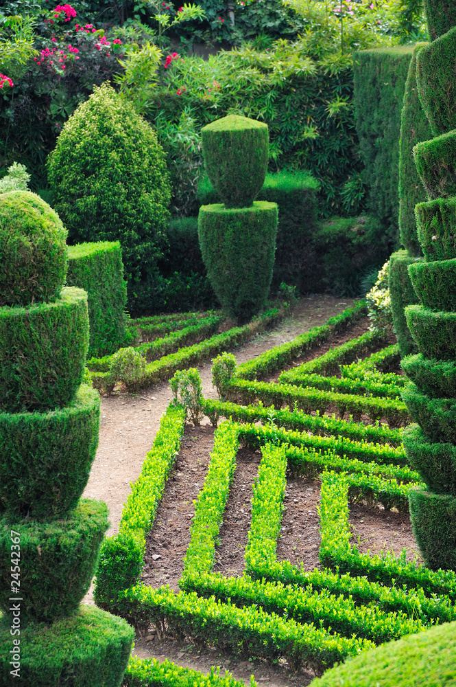 Decorative green park – Botanical garden Funchal, Madeira. Decorative green park – Botanical garden Funchal, Madeira.
