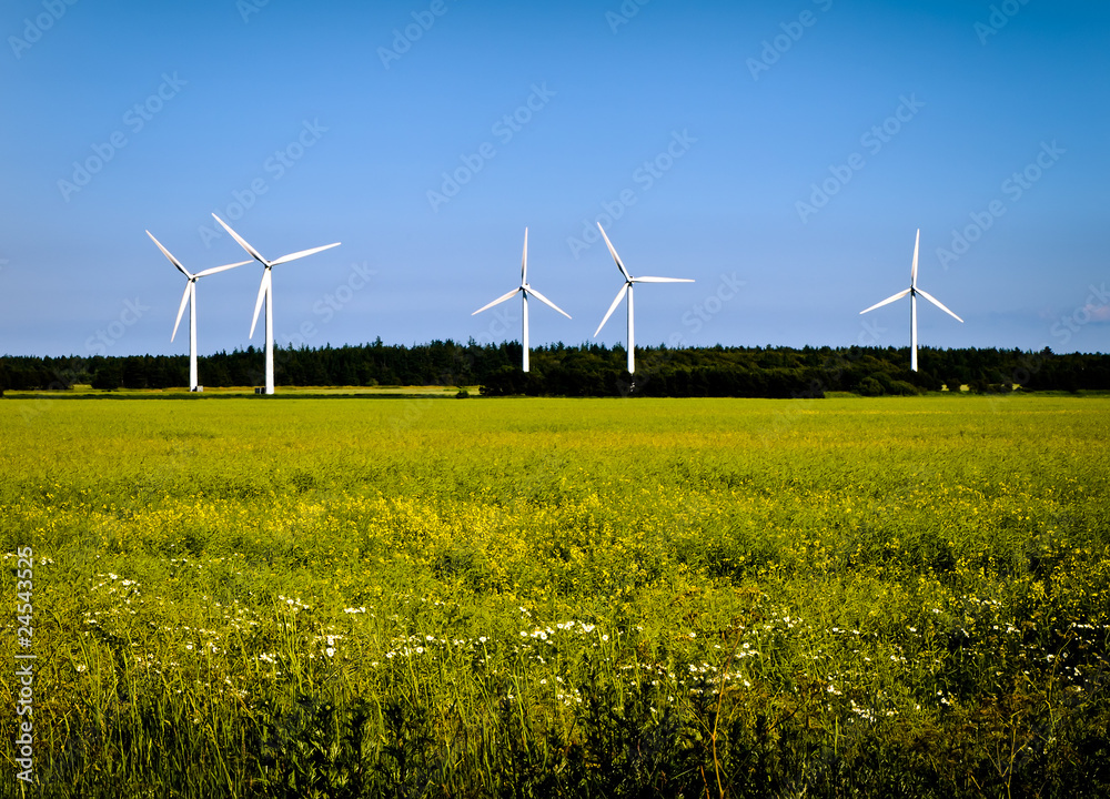 wind power wind power