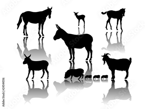 Kleine Gruppe Farmtiere mit Schattenspiegelung