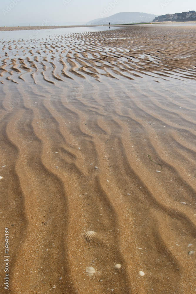 Fototapeta premium Ondulations sur le sable