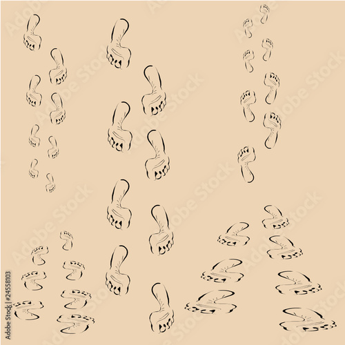 Traces of the feet in the sand