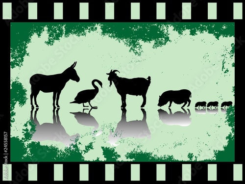 Farmtiere im Filmstreifen