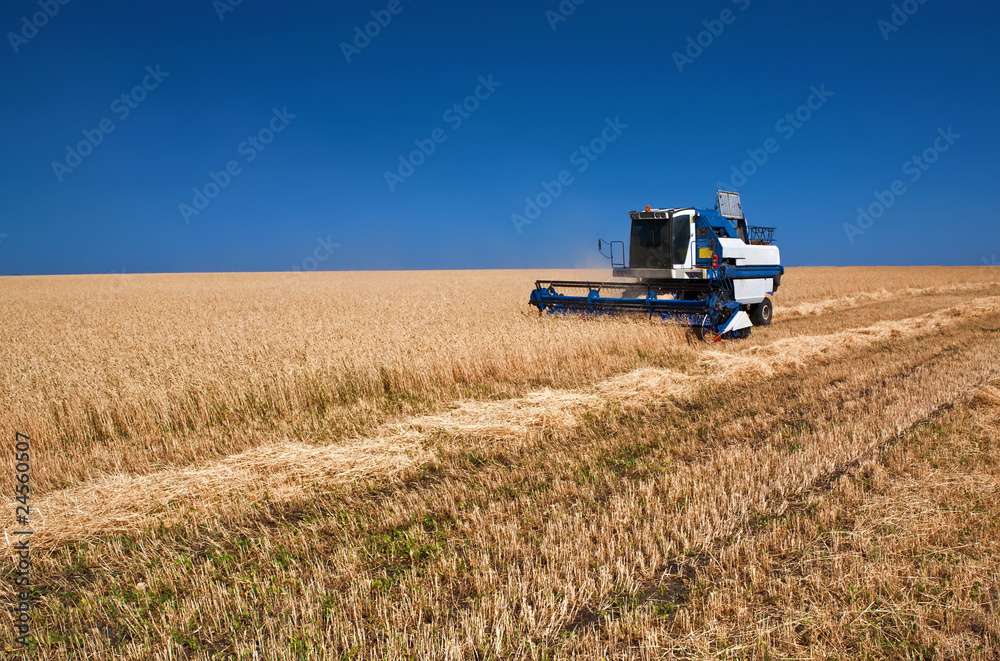 Obraz premium combine harvester