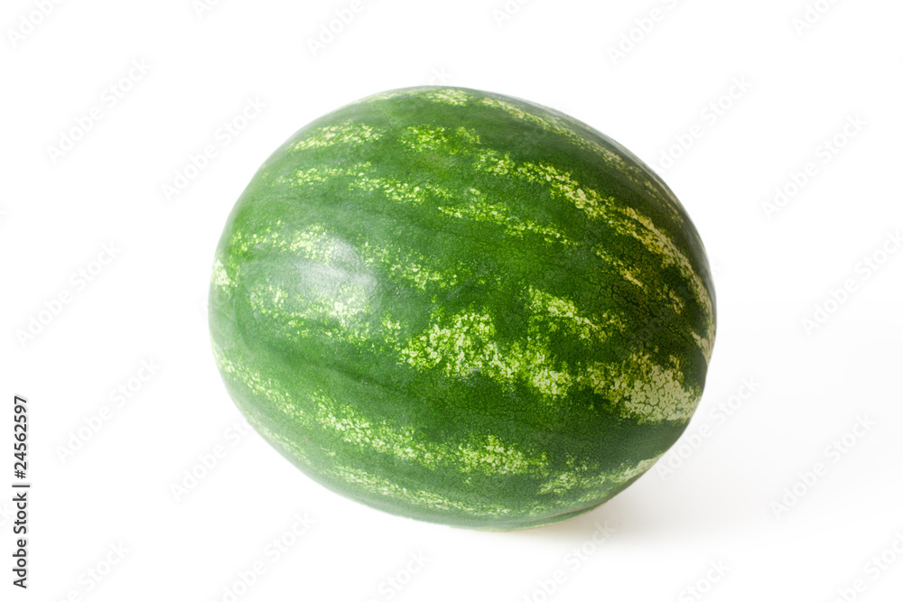 the watermelon the watermelon
