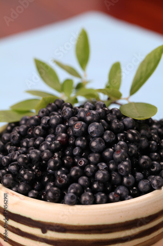 Wild blueberries