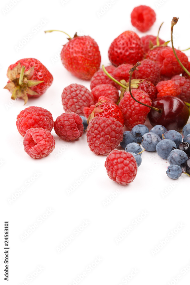 different kinds of berries different kinds of berries