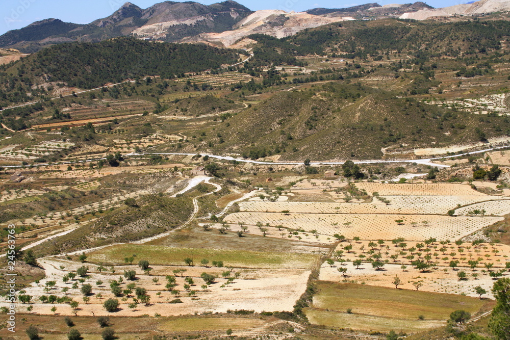 Fototapeta premium Agricultura en murcia