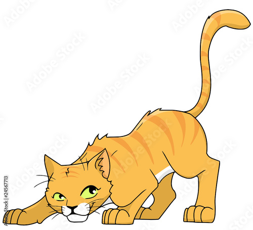 Katze