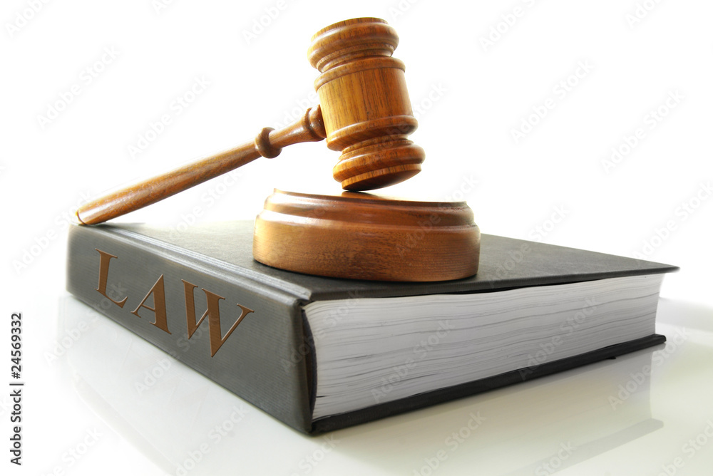 legal gavel on a law book