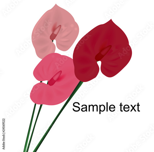 card design with stylized flower