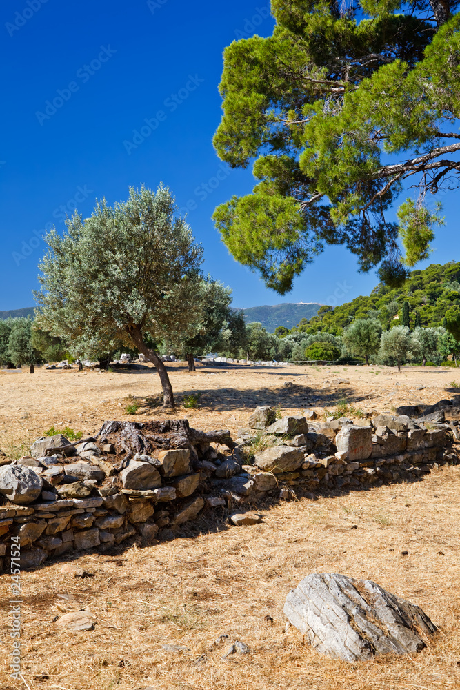 Ruins of Sanctuary of Poseidon, Poros, Greece