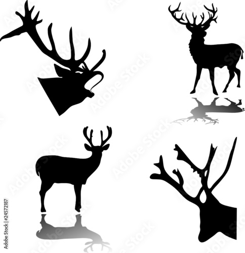 deer silhouette
