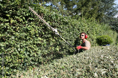 jardinage et taille de haie