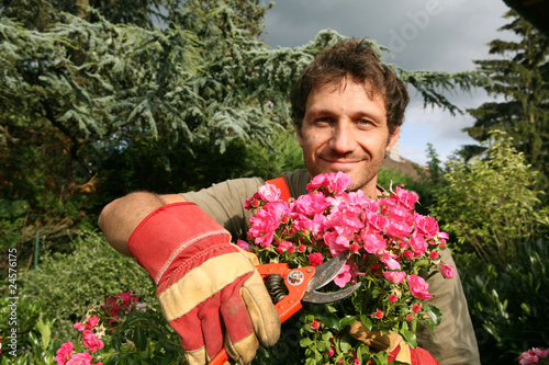 jardinier taille un rosier rose photo