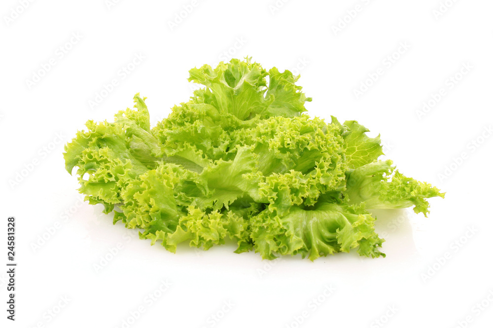 Green lettuce salad isolated on white background Green lettuce salad isolated on white background