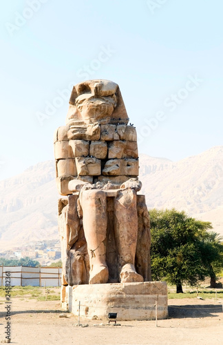 the Colossus of Memnon  Egypt