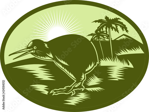 kiwi bird side view with landscape