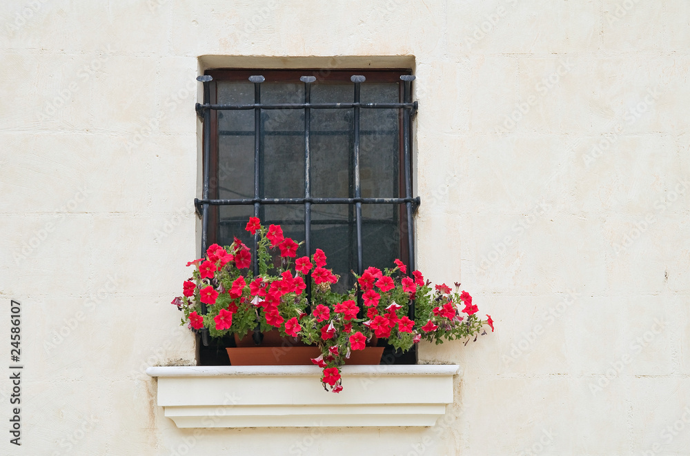 Window with geraniums.