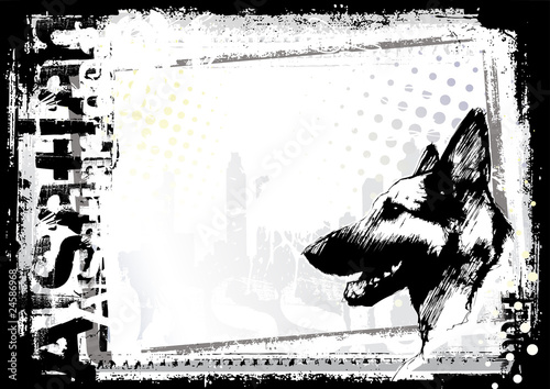 alsatian dog backgorund