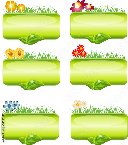 Collection flower stickers