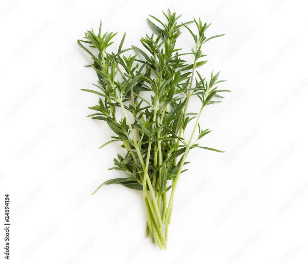 Fresh savory bunch Fresh savory bunch