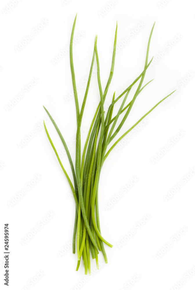 Fresh chives bunch
