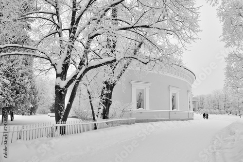 White winter in Saint-Petersburg