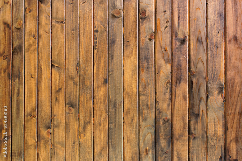 Dark wainscot Dark wainscot