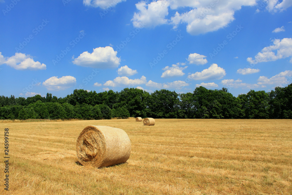 hay bale cornfield trees blue sky white clouds