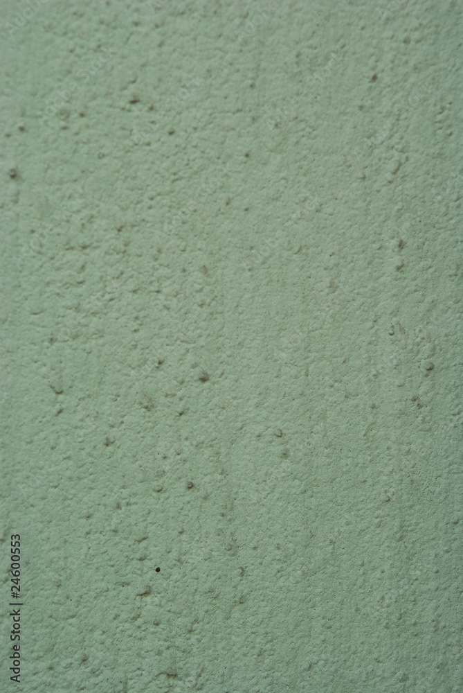 Obraz premium green walls