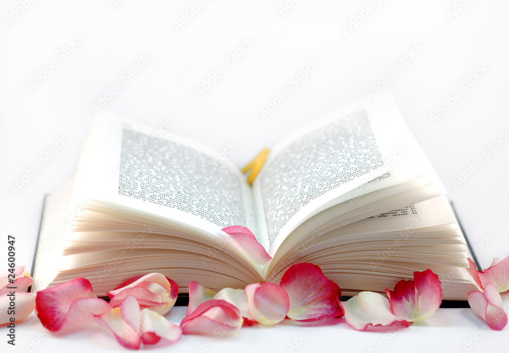 Obraz premium littérature