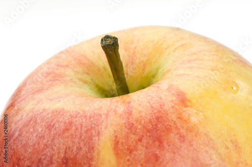 apple macro shot