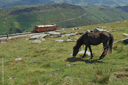 Petie train de la Rhune et Pottok photo