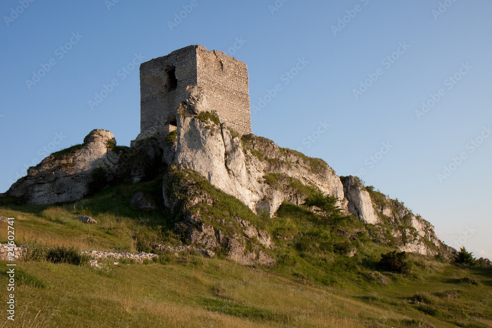 old castle watchtower in Olsztyn near Czestochowa