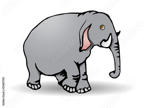 cute Elephant